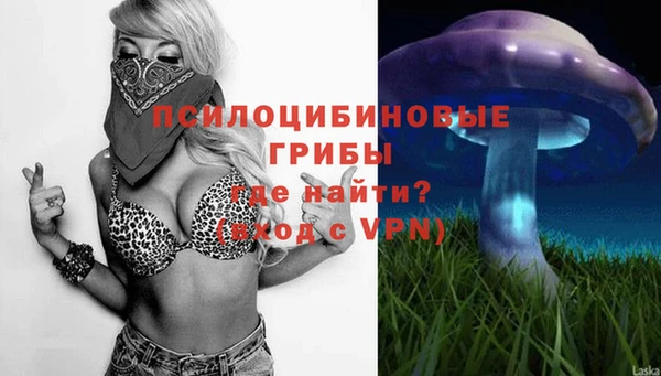 Альфа ПВП Алзамай
