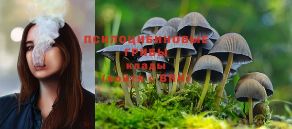 скорость Алексеевка