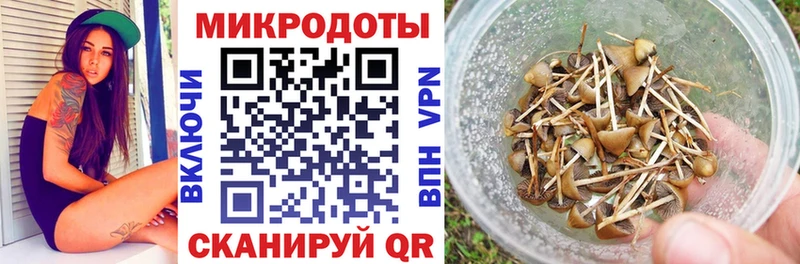Галлюциногенные грибы Magic Shrooms  Рубцовск 