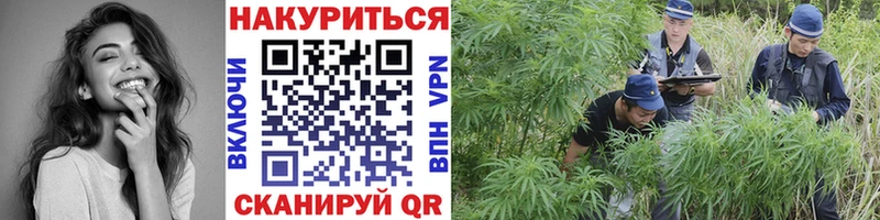 МАРИХУАНА гибрид  darknet какой сайт  Рубцовск  omg вход 
